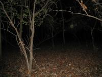 Chicago Ghost Hunters Group investigates Robinson Woods (210).JPG